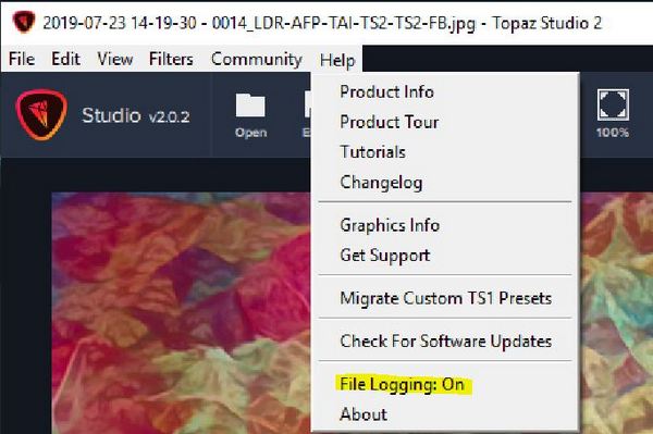should i get topaz studio